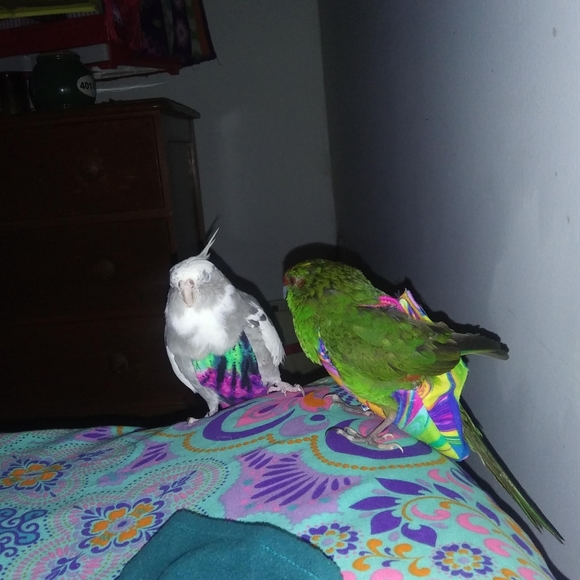 Meet your Posher, Kimberly - Picture 9 of 16